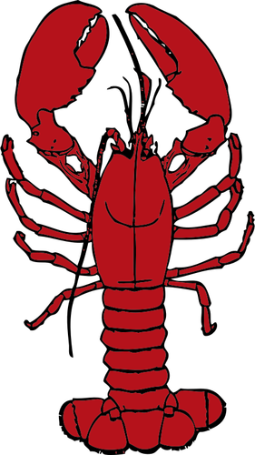 Dessin de homard vectoriel