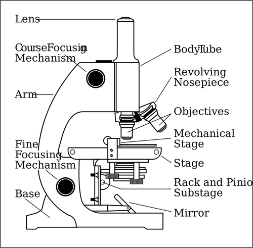 Vetor de lado de microscópio com peças rotuladas de desenho