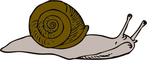 Vektor-Illustration der Schnecke