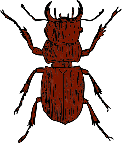 Grafică vectorială Cerbul Beetle