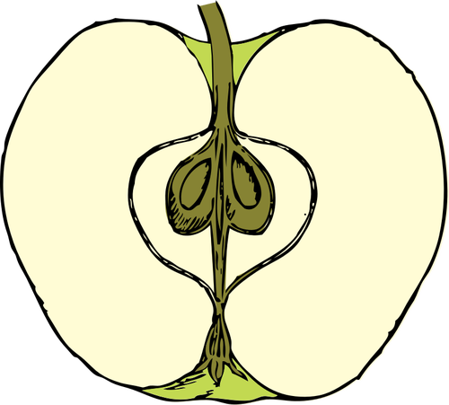 Grafika wektorowa jabłko pokroić na pół