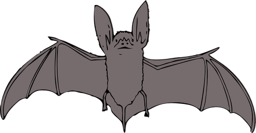 Asas de morcego com abrir desenho vetorial