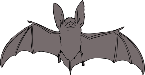 Bat med öppna vingar vector drawing