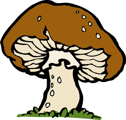 Imagem vetorial de um grande cogumelo