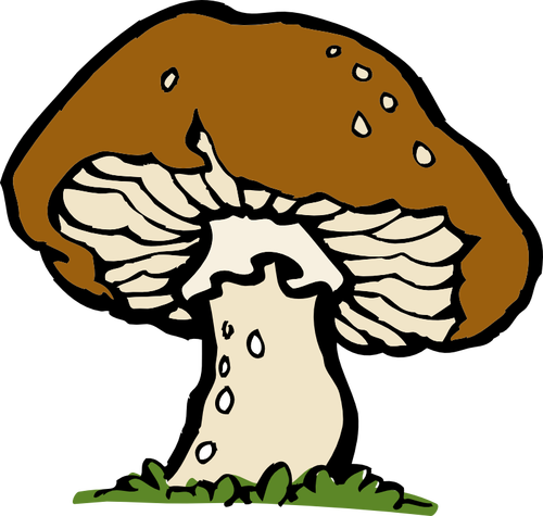 Vector image of a big mushroom