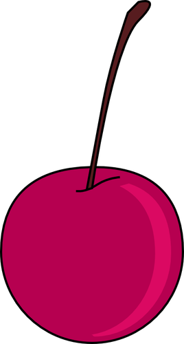 Cherry vector illustration