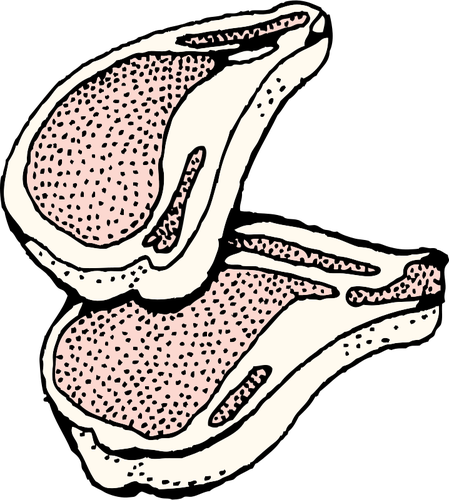 Côtelettes de viande graphiques vectoriels