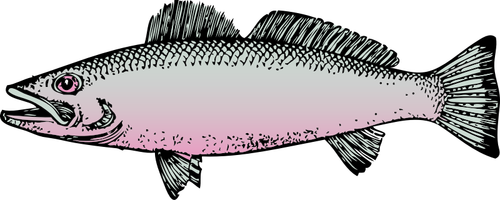 Rodzajowy rzeka ryb wektorowej