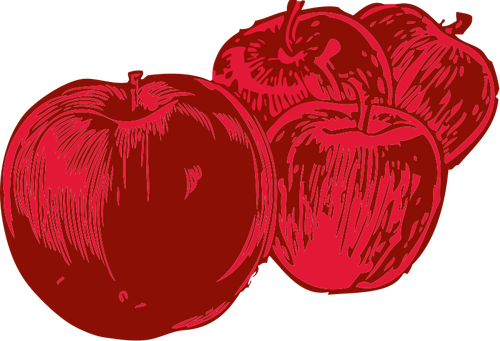 Appels vector