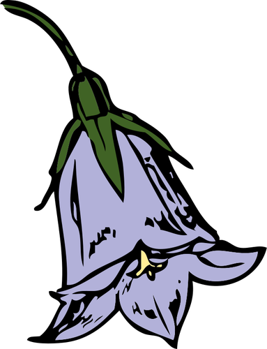 Vector clip art of harebell flower