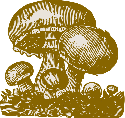 Paddestoelen vector afbeelding