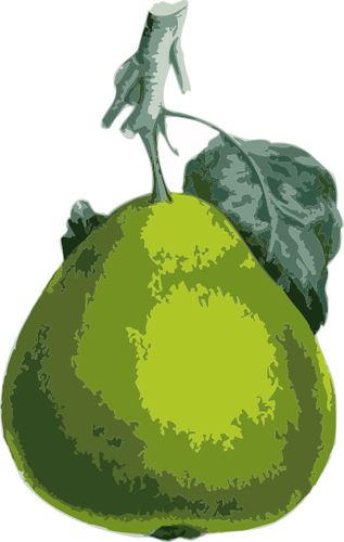 Vector illustraties voor pear