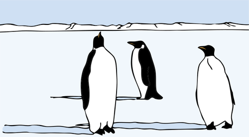 पेंगुइन चित्रण वेक्टर