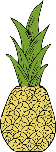 Ananas çizim vektör