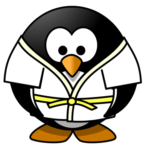 Judo penguin vektor image