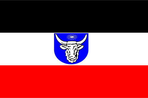 Vector illustraties van vlag van Duits Zuidwest-Afrika