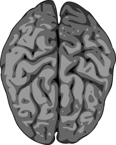 Rozmazaný vektorový obrázek lidského mozku