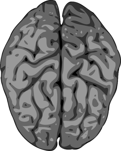 Vector borrosa de la imagen del cerebro humano