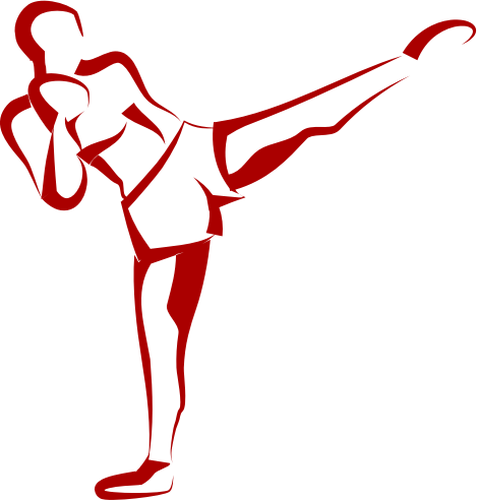 Kick boxer vector image