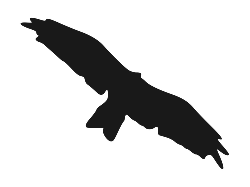 Flying bird silhouette