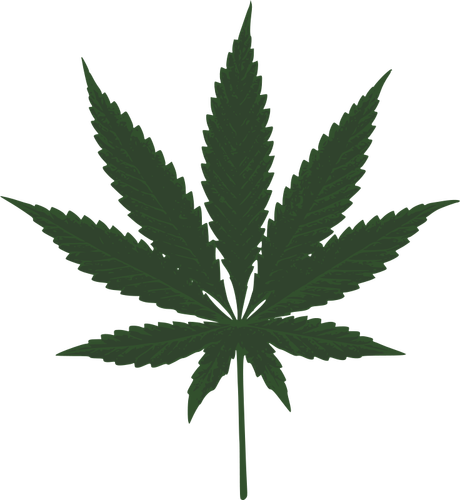 Cannabis leaf vector image