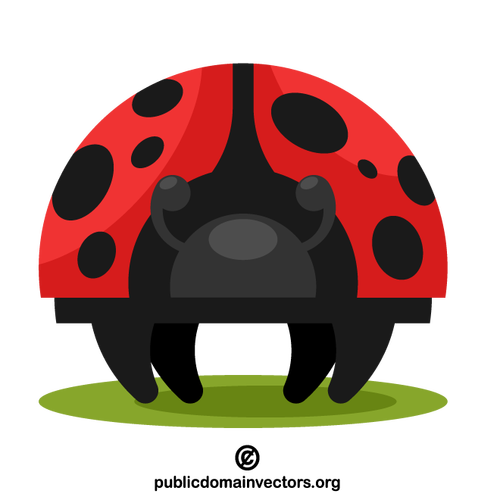 Illustration d’insectes coccinelles