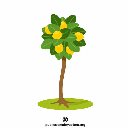 ClipArt vettoriali di albero di limone