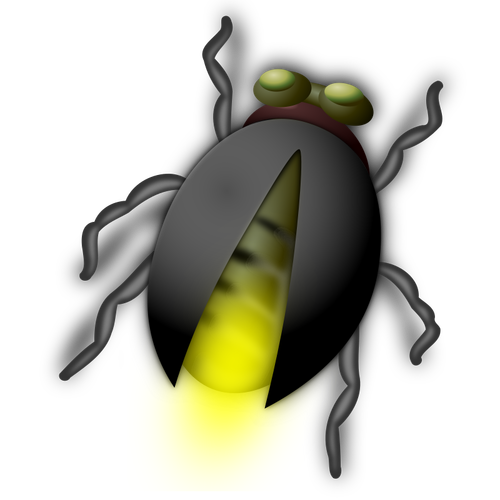 Lightning bug