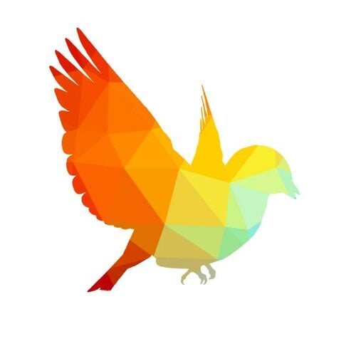 Pájaro de silueta de vuelo color