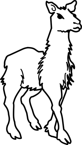 Line art vector clip art of llama