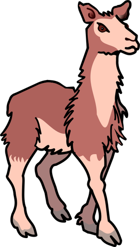 Llama vector illustrasjon
