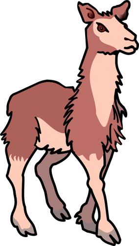 llama vektor ilustrasi