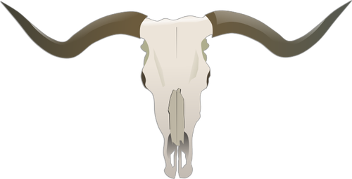 Longhorn-Schädel-Vektor-Bild