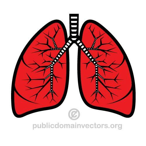 Ilustracja wektorowa płuc