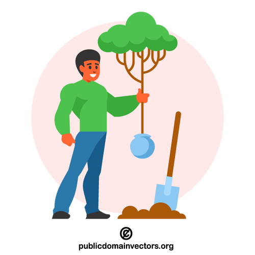 Man planting a tree