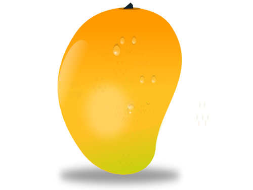 Mango-Frucht-Vektor-Bild