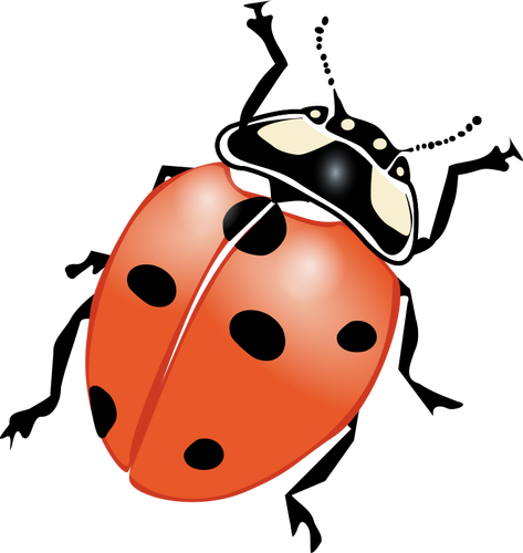 Gambar vektor ladybug