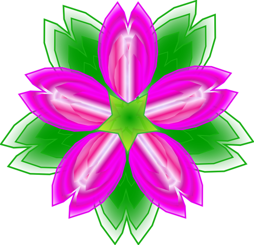 Indian Lotus vector illustration