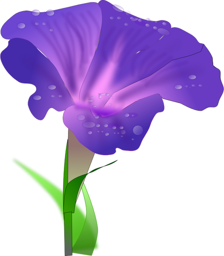 Vektor Klipart orchis