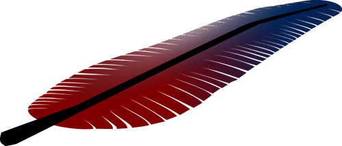 Ilustrasi vektor miring bulu merah dan biru