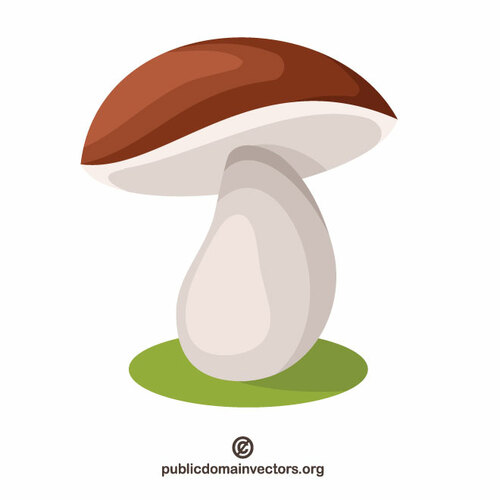 ClipArt vettoriali di funghi