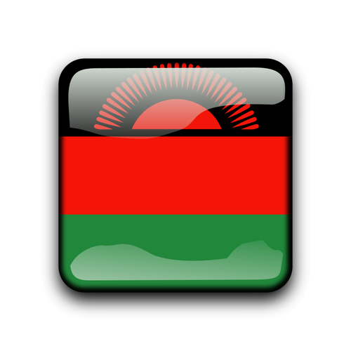 Malawis flagga vektor