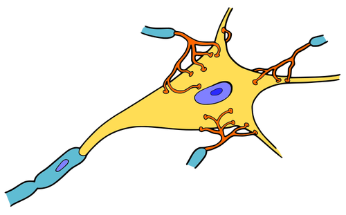 Dibujo vectorial de neurona simple