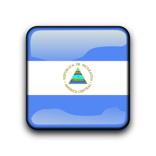 Nicaragua flag vector