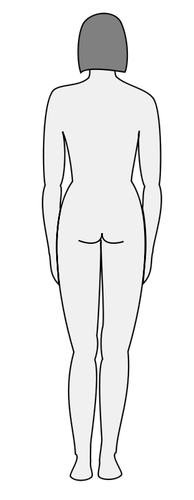 女性的身体剪影矢量