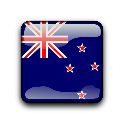 New Zealand flag vector