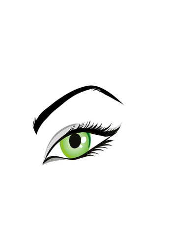 Vektorgrafikken damer grønne øye med øyenbrynene