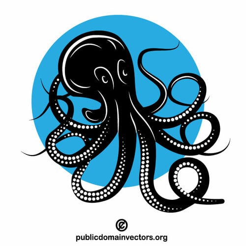 Black octopus