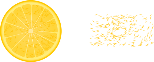 Pedaços de laranja e laranja meia vector clipart