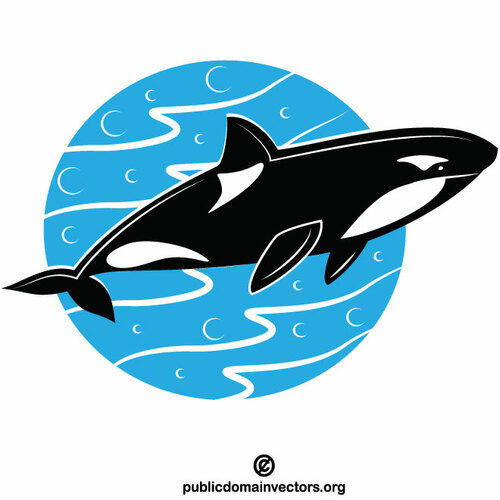 Косатка косатки Orca